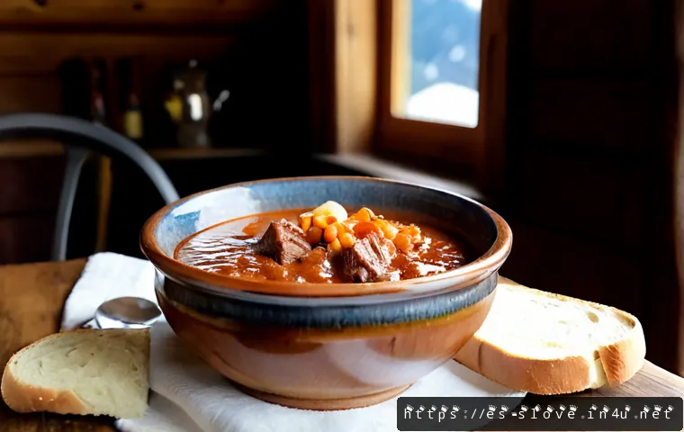 슬로베니아 국민음식 골라시 - Photorealistic Slovenian goulash in a rustic ceramic bowl, rich red-brown beef stew with tender chun...